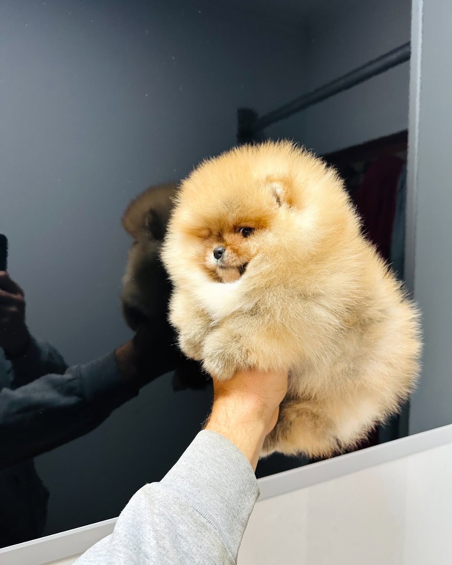 Coco