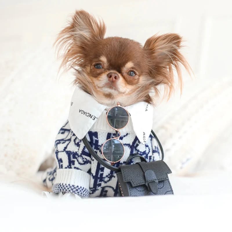 Nugget Image