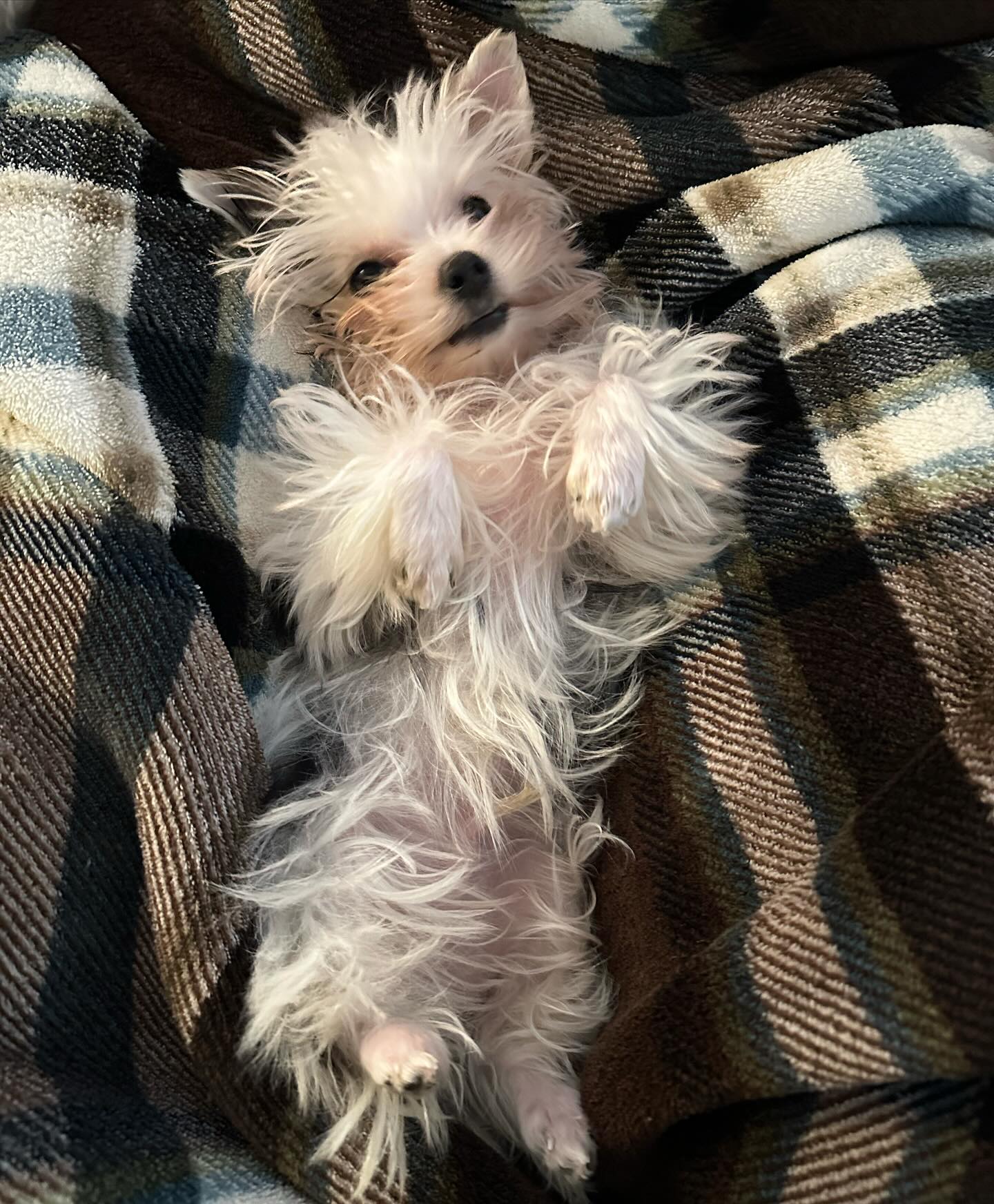 Fiona